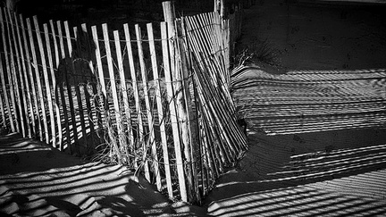 Protecting the Dunes