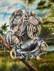 Caribbean Crabs