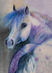 Blue-Pony